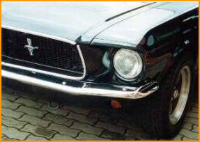 More pictures and stories by clicking on this photo