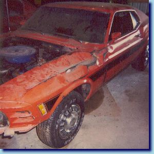 Picture courtesy David Charlier