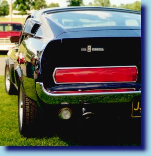 My favourite Shelby at the fair