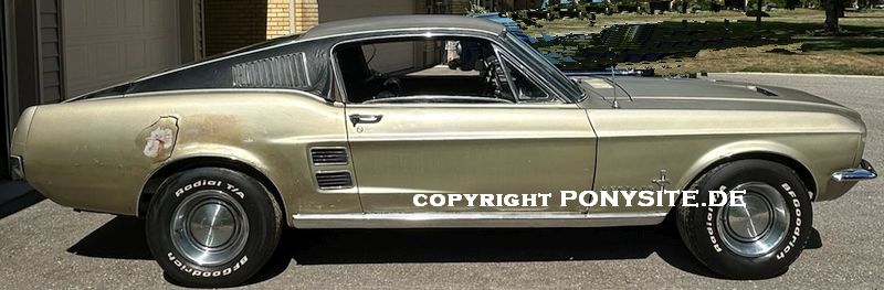 Mainway Ford Stallion from Canada