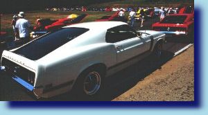 More than a dozen Boss lined up