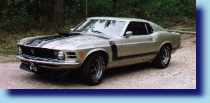 Picture courtesy Marcel Scheltinga