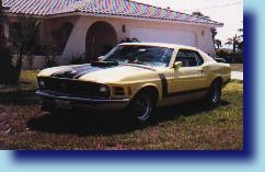 Picture courtesy Scott Johnstone