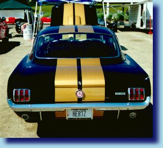 A real Hertz rental Shelby GT350