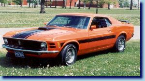 Picture courtesy David Charlier